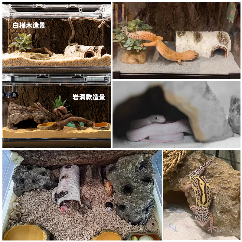 【仿真樺木樹洞】躲避屋 爬蟲躲避屋 爬蟲造景 躲避洞 倉鼠窩 守宮 蛇 烏龜 蜥蜴 兩棲 守宮盒 樹洞 樺木樹洞 岩洞-細節圖7