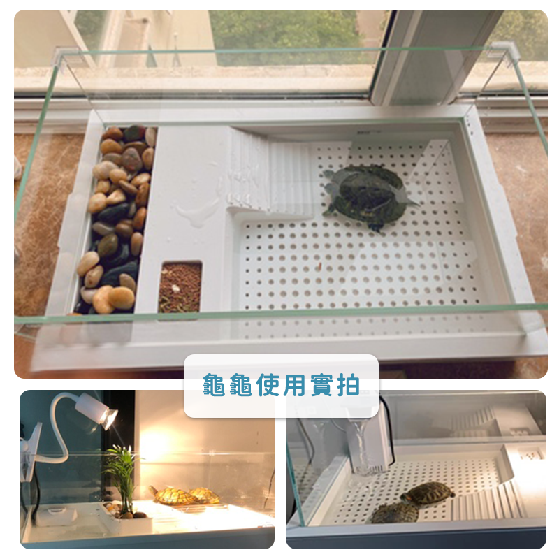 【贈 100G飼料】水龜飼養箱 烏龜箱 烏龜缸 烏龜飼養箱 龜缸 水龜 玻璃缸 澤龜 水龜缸 澤龜飼養箱 烏龜玻璃缸-細節圖8