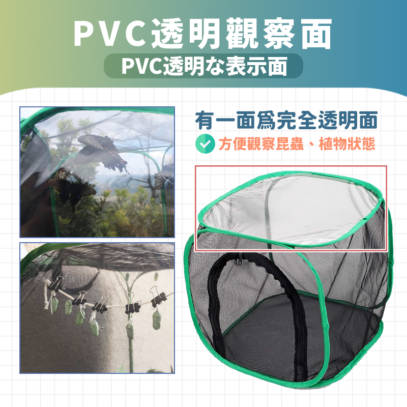 【24H台灣出貨】黑網昆蟲籠 昆蟲飼養籠 昆蟲觀察盒 昆蟲箱 昆蟲籠 竹節蟲 防鳥襲 防昆蟲 防蟲咬 可折疊植物網罩-細節圖4