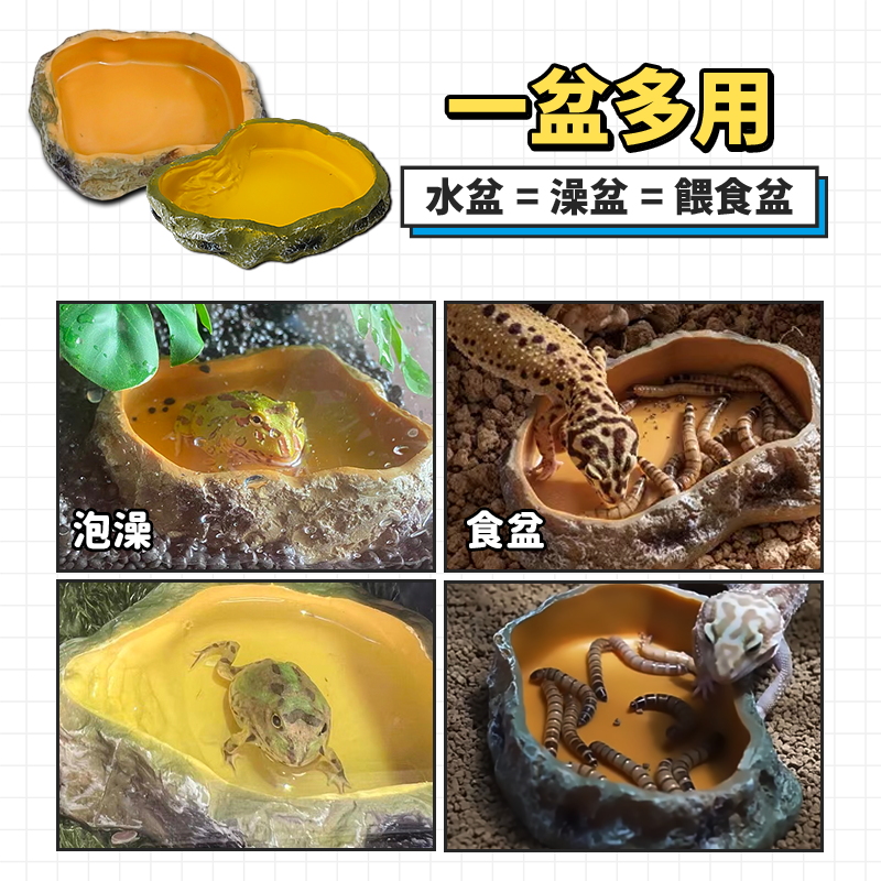 【角蛙泡澡盆】角蛙水盆 爬蟲水盆 陸龜水盆 水盆 食盆 寄居蟹 守宮 蛇 烏龜水盆 洗澡盆 陸龜 烏龜洗澡 澤龜 蘇卡達-細節圖4