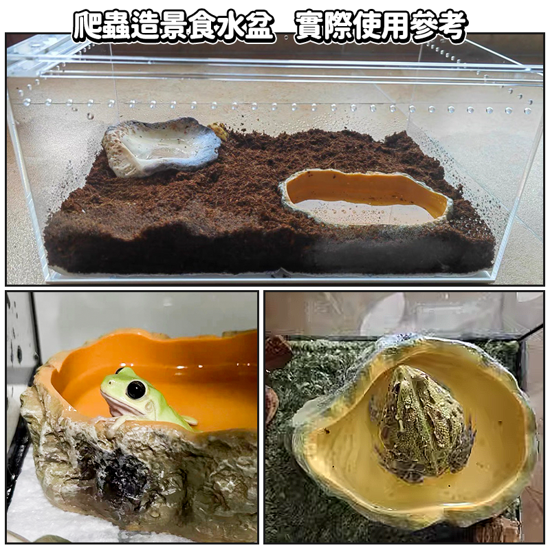 【角蛙泡澡盆】角蛙水盆 爬蟲水盆 陸龜水盆 水盆 食盆 寄居蟹 守宮 蛇 烏龜水盆 洗澡盆 陸龜 烏龜洗澡 澤龜 蘇卡達-細節圖6