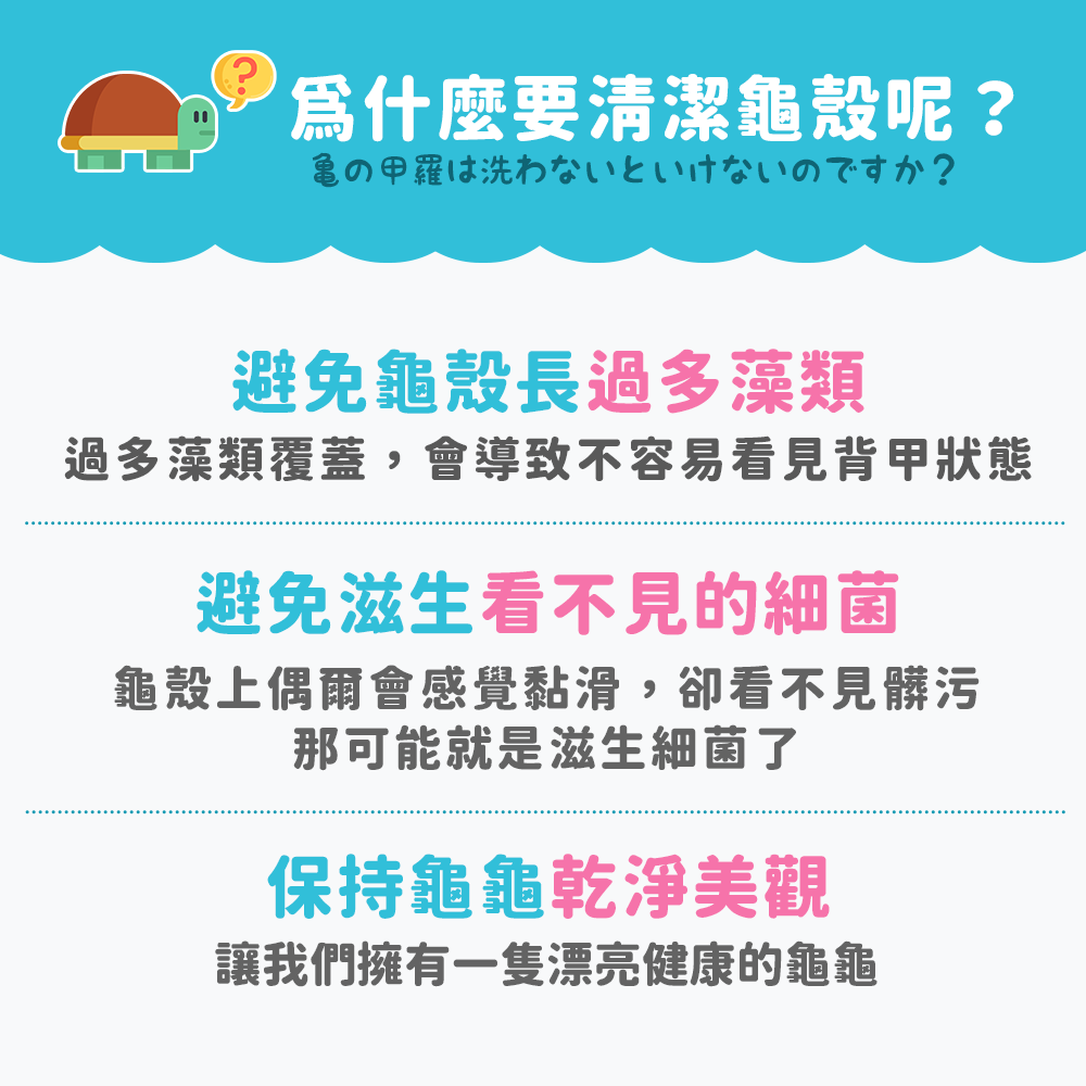 【超柔軟軟毛刷Ｘ不傷龜殼】烏龜刷 軟毛刷 烏龜刷背 烏龜洗澡 龜殼刷 長柄軟毛刷 烏龜軟毛刷 龜殼油刷 刷背 刷腳 刷嘴-細節圖3