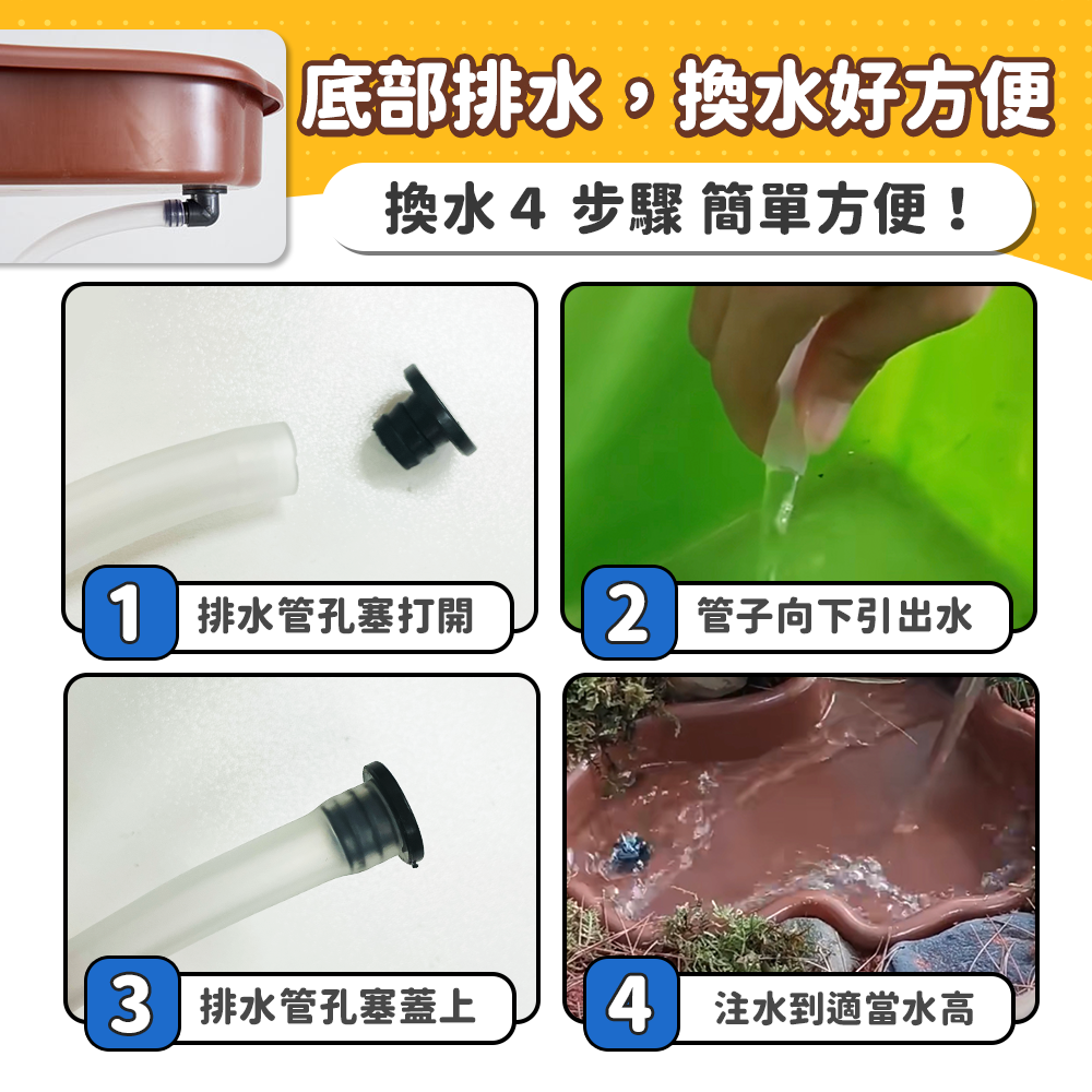 可排水💦深度５cm【澤龜泡澡盆】烏龜泡澡盆 烏龜水盆 烏龜池 水盆 烏龜洗澡盆 澤龜 陸龜 烏龜缸 烏龜飼養箱 烏龜曬-細節圖4