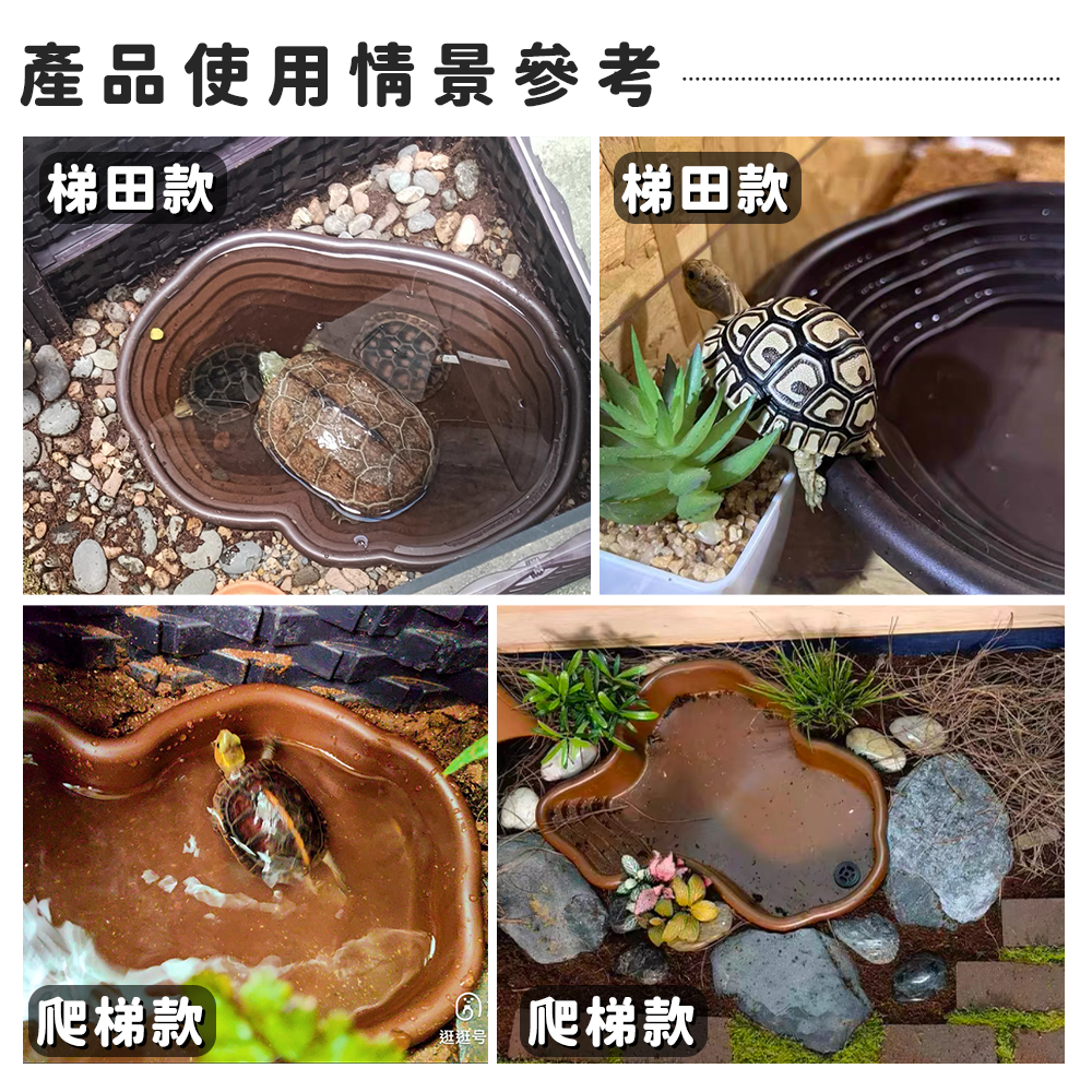 可排水💦深度５cm【澤龜泡澡盆】烏龜泡澡盆 烏龜水盆 烏龜池 水盆 烏龜洗澡盆 澤龜 陸龜 烏龜缸 烏龜飼養箱 烏龜曬-細節圖7