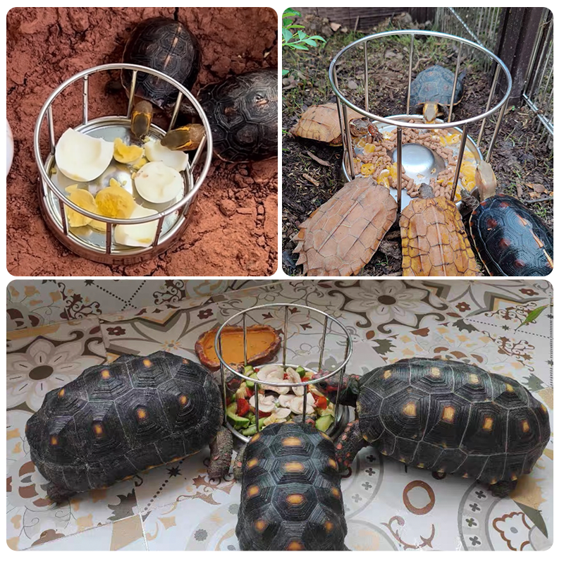 【３０４不銹鋼材質】陸龜食盆 烏龜飼料盆 烏龜餵食盆 陸龜 陸龜餵食器 蘇卡達 紅腿 爬蟲水盆 陸龜水盆 不銹鋼材質-細節圖8