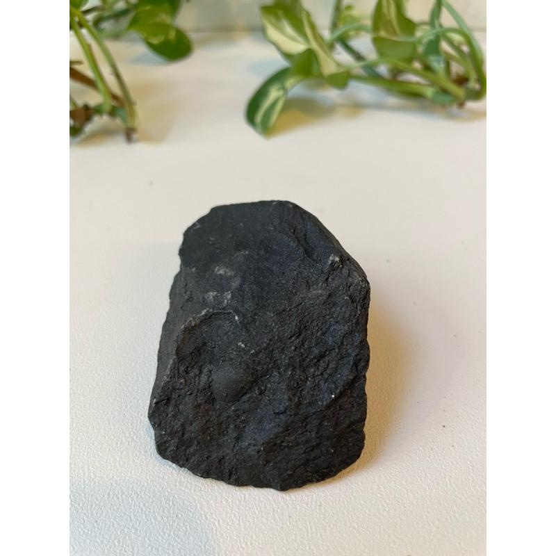 菊花石 chrysanthemum stone 礦石 礦物 原礦-細節圖4