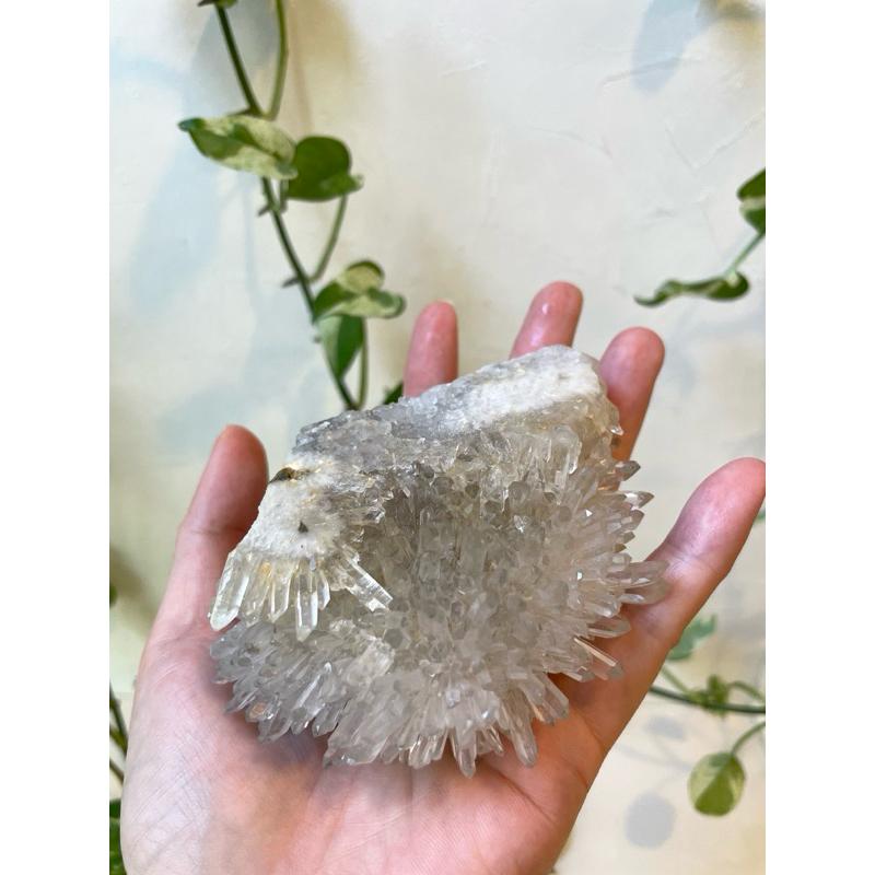 冰透菊花晶簇 Clear crystal cluster 水晶原礦 礦物  白水晶-細節圖7