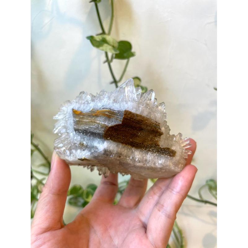 冰透菊花晶簇 Clear crystal cluster 水晶原礦 礦物  白水晶-細節圖8