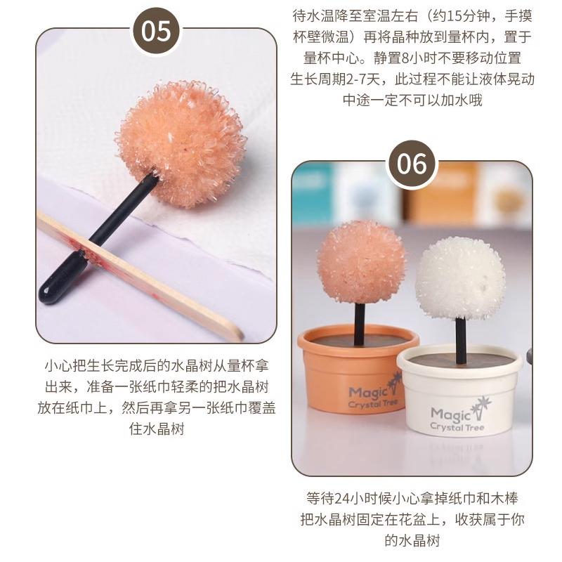 【W先生】水晶種植 魔法樹種植 魔法水晶樹 動物水晶種植 科學實驗 物理化學 生活科技 科學玩具 益智 教育 DIY-細節圖5