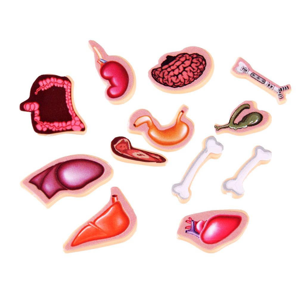 【W先生】瘋狂醫生 拯救病人 恐龍 海盜 手術模擬器 外科手術遊戲 人體器官 電流觸碰 電流急急棒 玩具 派對 桌遊-細節圖3