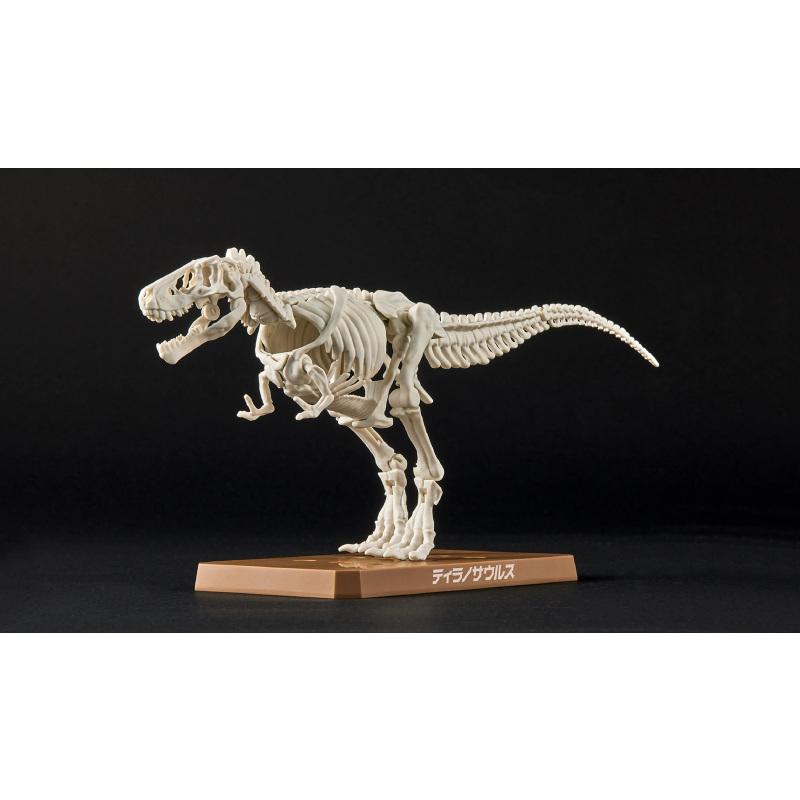 【W先生】萬代 BANDAI 恐龍組裝模型 暴龍 三角龍 劍龍 侏儸紀 恐龍 骨架 化石 DIY 拼裝 組裝模型-細節圖2