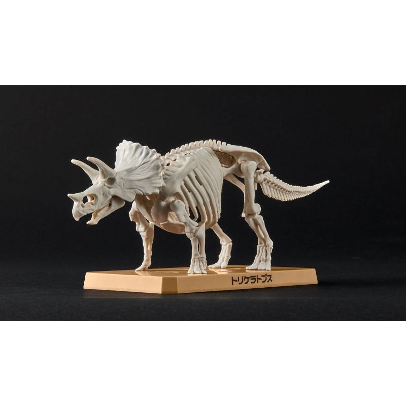 【W先生】萬代 BANDAI 恐龍組裝模型 暴龍 三角龍 劍龍 侏儸紀 恐龍 骨架 化石 DIY 拼裝 組裝模型-細節圖6