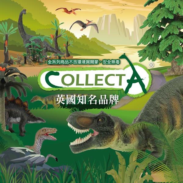 【W先生】CollectA 英國高擬真模型 恐龍模型 史前動物 劍龍 暴龍 三角龍 腕龍 迅猛龍 水怪 棘龍 甲龍 滄龍-細節圖4