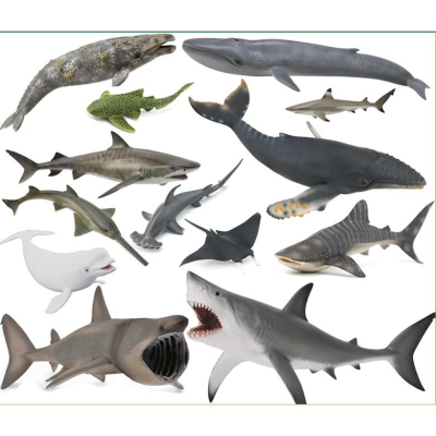 【W先生】CollectA 英國高擬真模型 海洋動物 藍鯨 白鯨 章魚 海獅 象龜 殺人鯨 鯨魚 大白鯊 企鵝 鱷魚