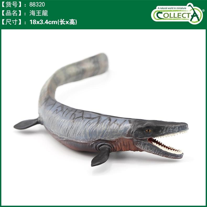 【W先生】CollectA 滄龍 棘龍 海王龍 帝王鱷 劍龍 劍齒虎 泰曼魚龍 恐龍 模型-細節圖3
