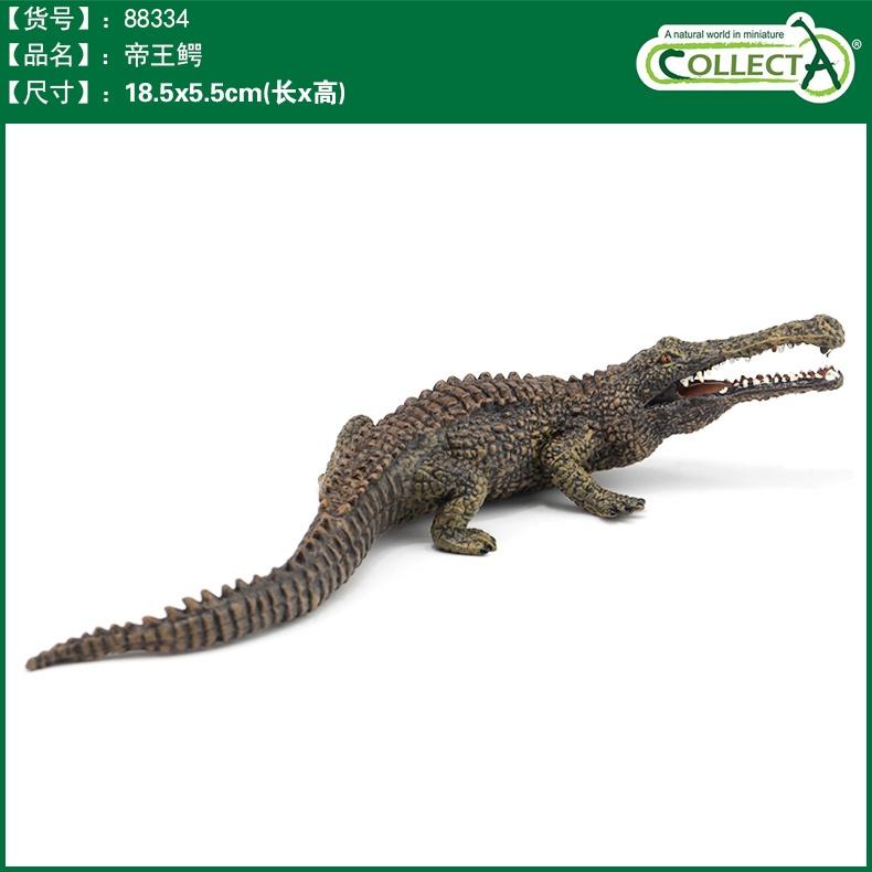 【W先生】CollectA 滄龍 棘龍 海王龍 帝王鱷 劍龍 劍齒虎 泰曼魚龍 恐龍 模型-細節圖4