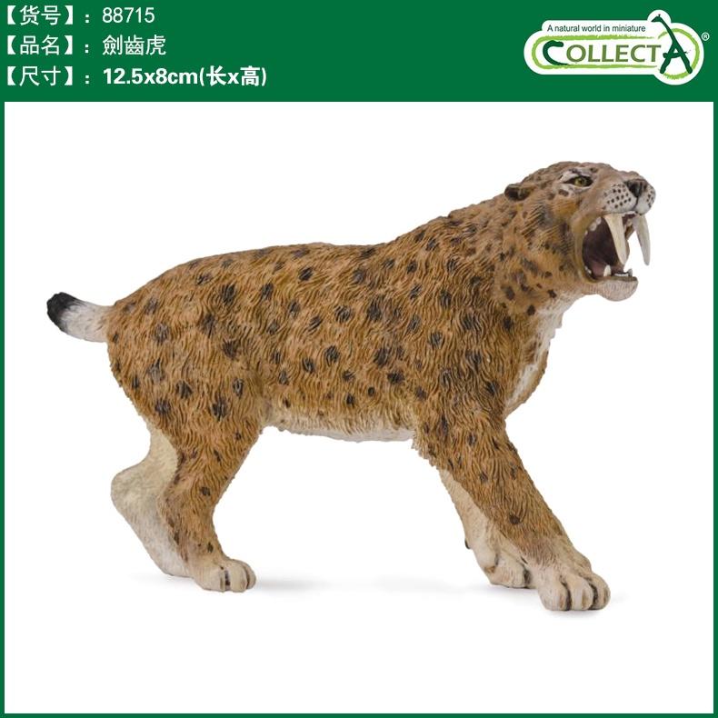 【W先生】CollectA 滄龍 棘龍 海王龍 帝王鱷 劍龍 劍齒虎 泰曼魚龍 恐龍 模型-細節圖6