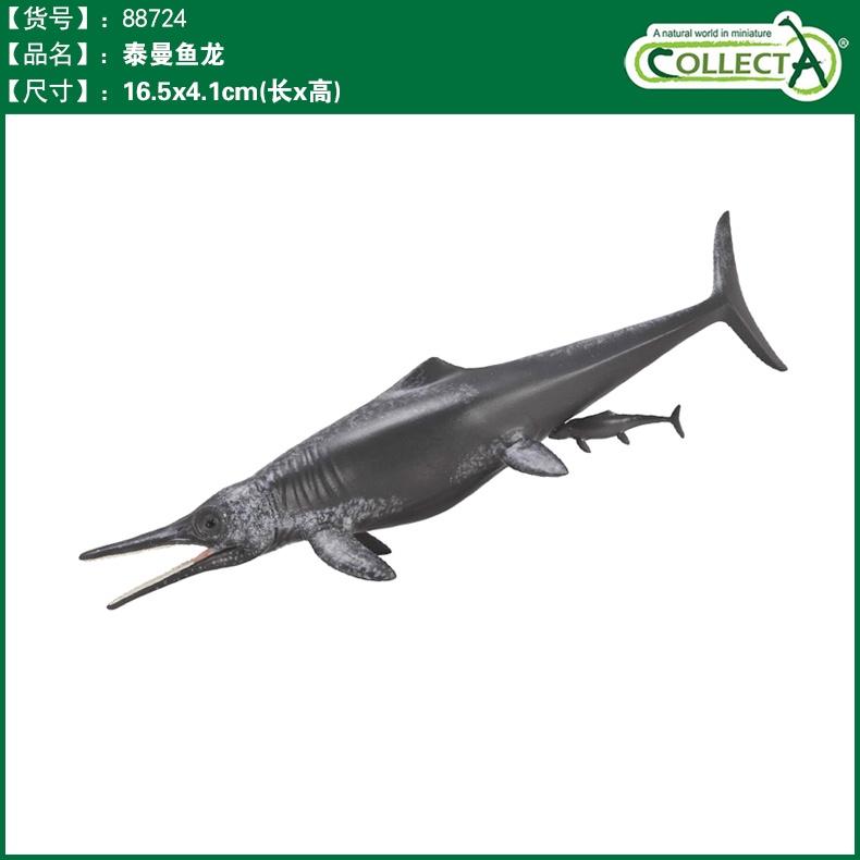 【W先生】CollectA 滄龍 棘龍 海王龍 帝王鱷 劍龍 劍齒虎 泰曼魚龍 恐龍 模型-細節圖7
