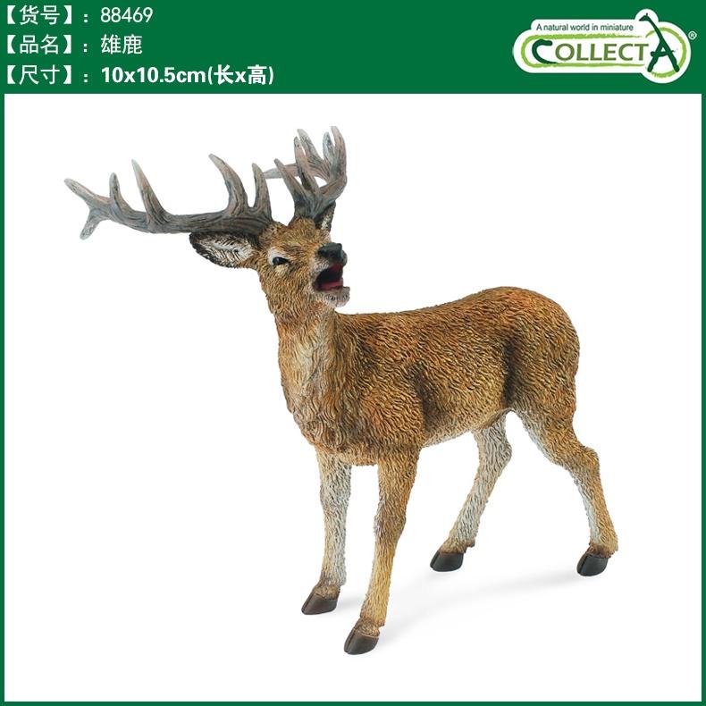 【W先生】CollectA 母獅子 公鹿 母鹿 母乳牛 中美貘 捻角山羊 侏儒河馬 傘蜥蜴 鷸鴕 野生 動物 模型-細節圖2