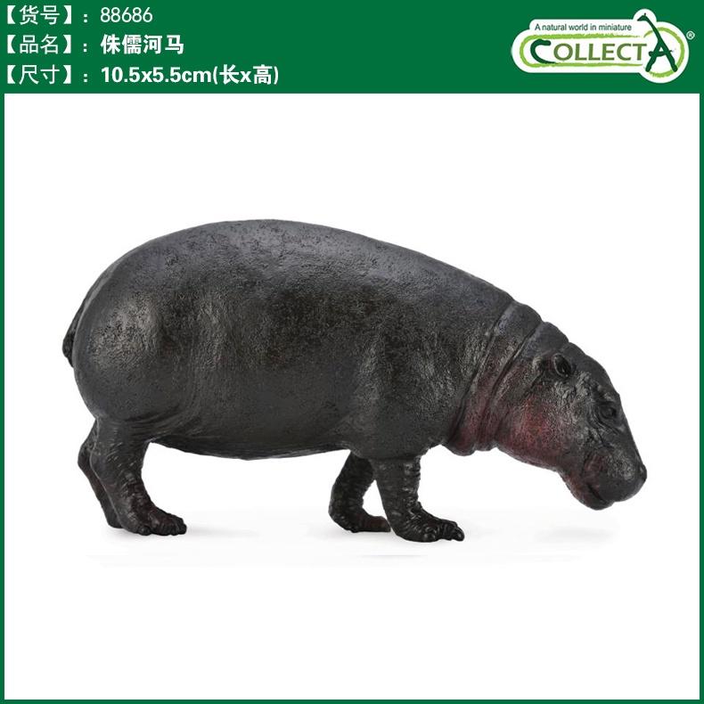 【W先生】CollectA 母獅子 公鹿 母鹿 母乳牛 中美貘 捻角山羊 侏儒河馬 傘蜥蜴 鷸鴕 野生 動物 模型-細節圖7