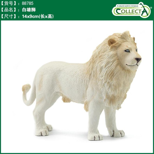 【W先生】CollectA 白公獅 西班牙鬥牛 雙峰駱駝 德克薩斯長角牛 大熊貓 孔雀 天鵝 公山羊 北極熊 動物模型