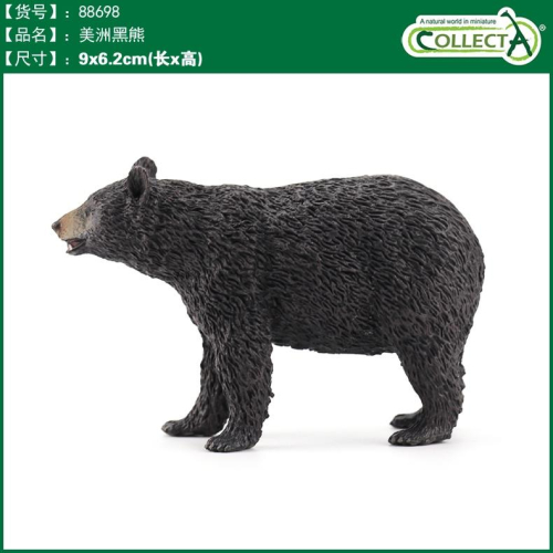 【W先生】CollectA 美洲黑熊 平原斑馬 狼 樹懶 紅袋鼠-母子 驢子 達爾文蛙 公紅袋鼠 野生動物 模型