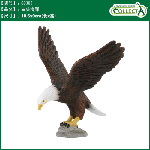 【W先生】CollectA 英國高擬真模型 白頭海鵰 火雞 北美馴鹿 野生動物 動物模型 公仔