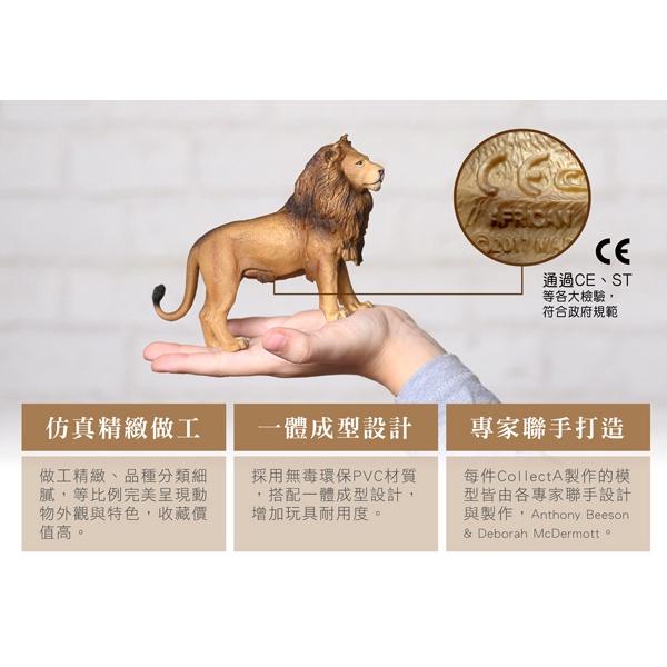 【W先生】CollectA 英國高擬真模型 野生動物模型 長頸鹿 斑馬 老虎 獅子 大象 犀牛 河馬 黑豹 樹懶 猩猩-細節圖4