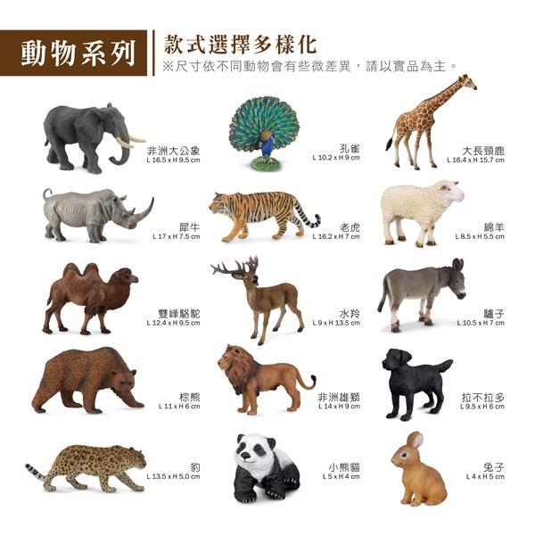 【W先生】CollectA 英國高擬真模型 野生動物模型 長頸鹿 斑馬 老虎 獅子 大象 犀牛 河馬 黑豹 樹懶 猩猩-細節圖5