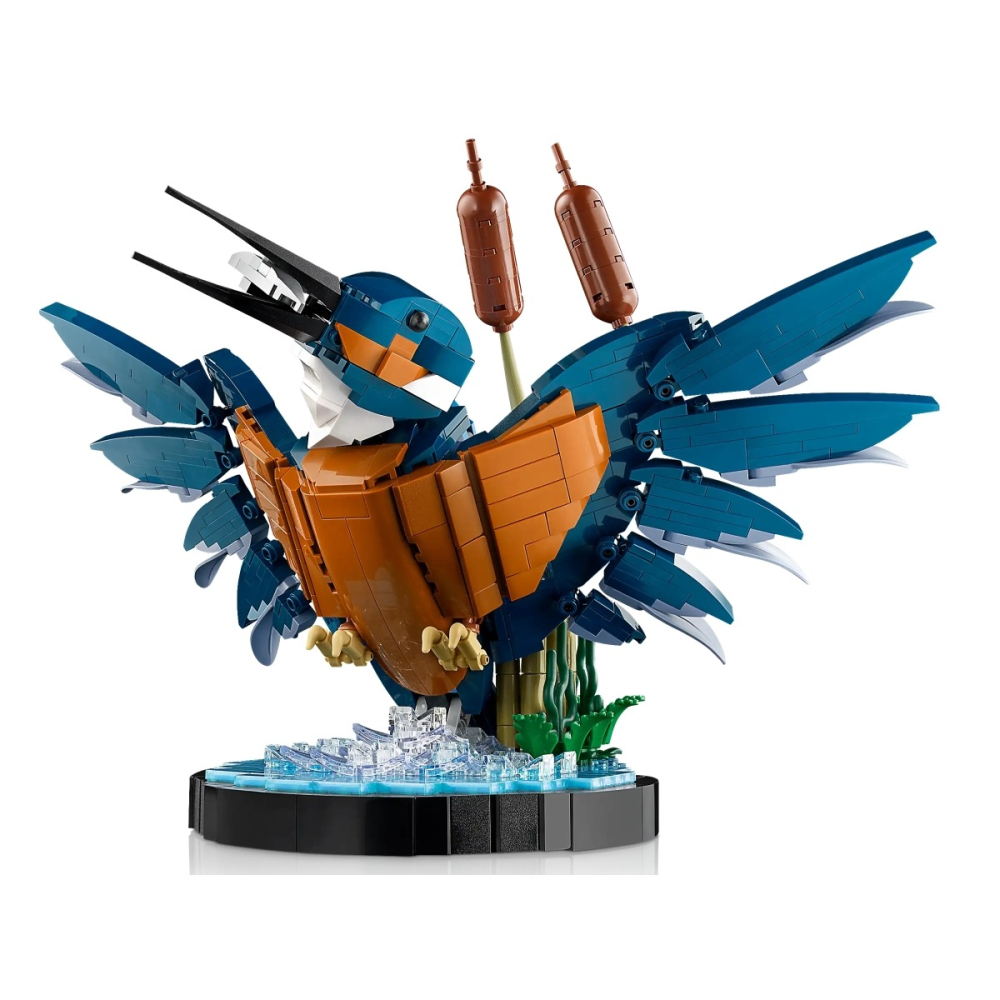 【W先生】LEGO 樂高 積木 玩具 Icons系列 翠鳥 Kingfisher Bird 10331-細節圖2