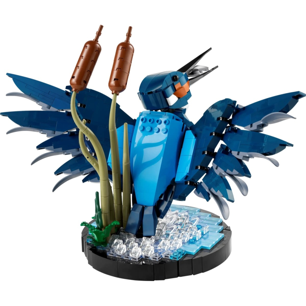 【W先生】LEGO 樂高 積木 玩具 Icons系列 翠鳥 Kingfisher Bird 10331-細節圖3