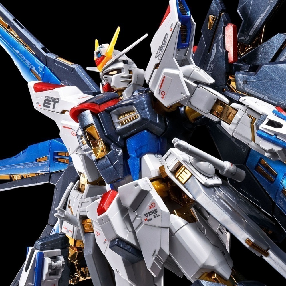 全新現貨 台魂 PB RG 1/144 攻擊自由鋼彈 STRIKE FREEDOM GUNDAM 鈦金版 鈦合金質感-細節圖3