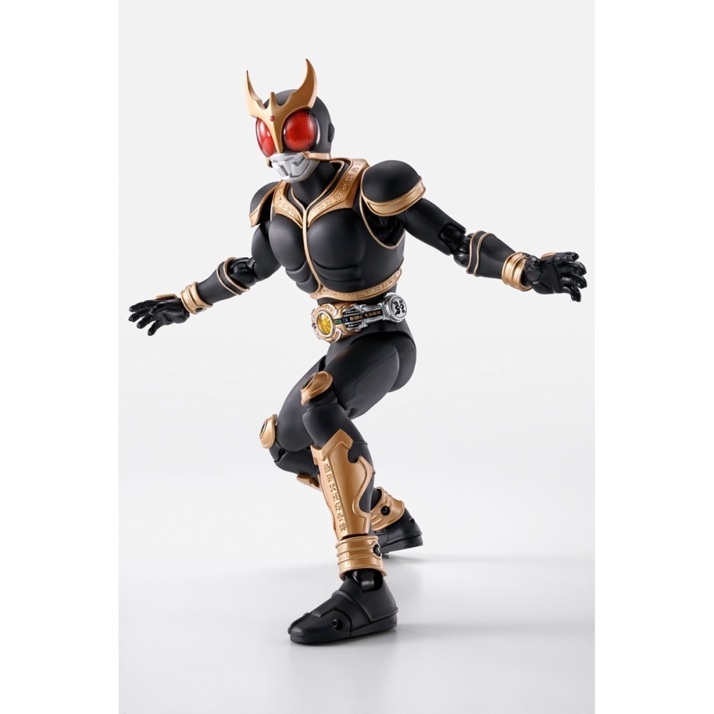 全新現貨 台魂 PB S.H.Figuarts SHF 假面騎士 空我 真骨彫 驚異全能形態 再販 10週年紀念-細節圖7