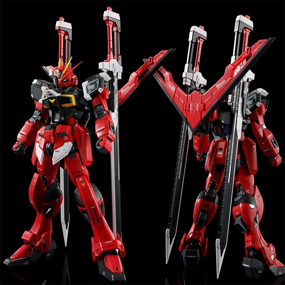 全新現貨 台魂 PB RG 1/144 巨劍脈衝鋼彈 SWORD IMPULSE GUNDAM SpecII-細節圖2