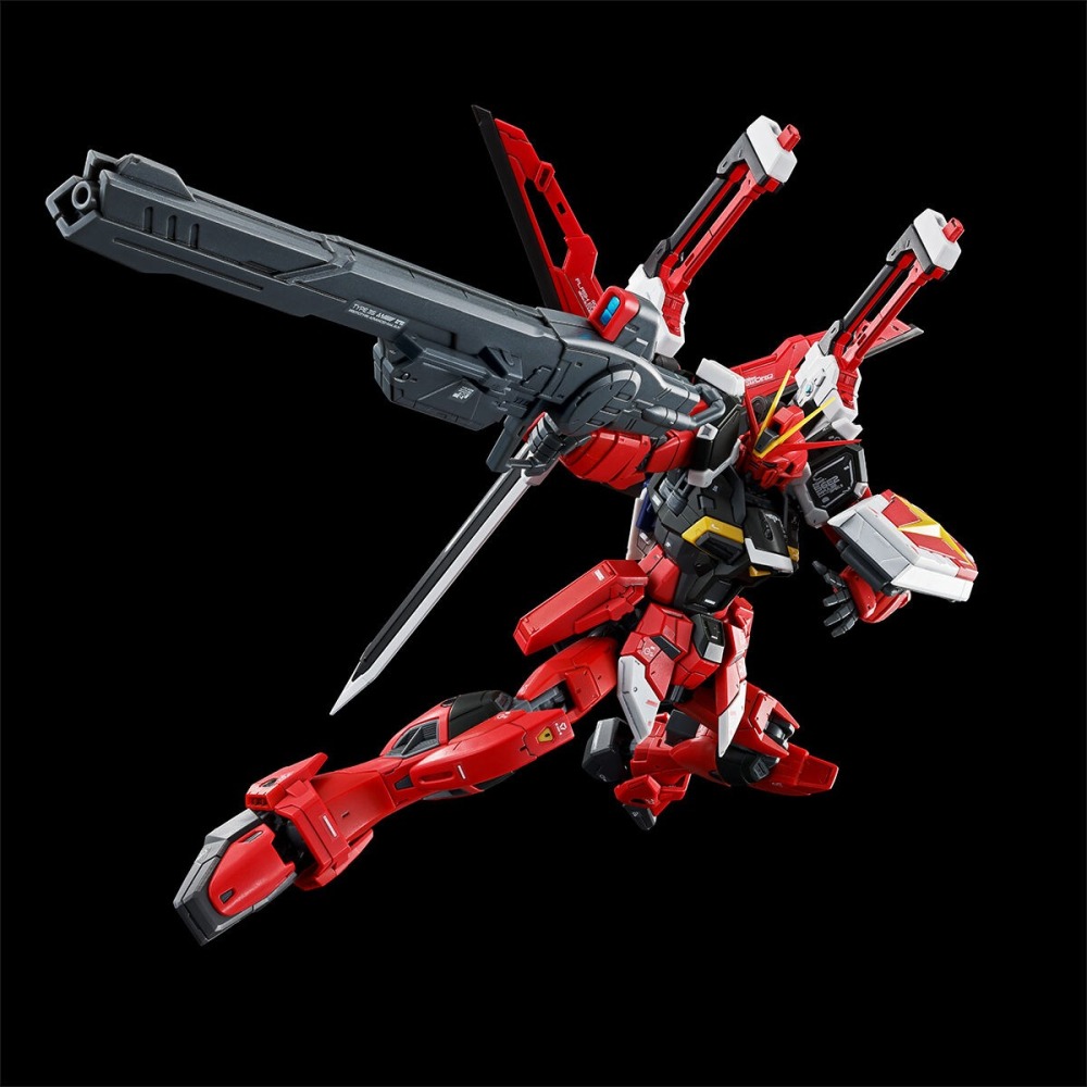 全新現貨 台魂 PB RG 1/144 巨劍脈衝鋼彈 SWORD IMPULSE GUNDAM SpecII-細節圖7