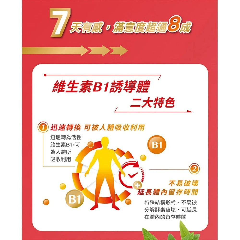 【台塑生醫】醫之方長釋B群EX PLUS加強 (60錠瓶)-購滿地-細節圖7