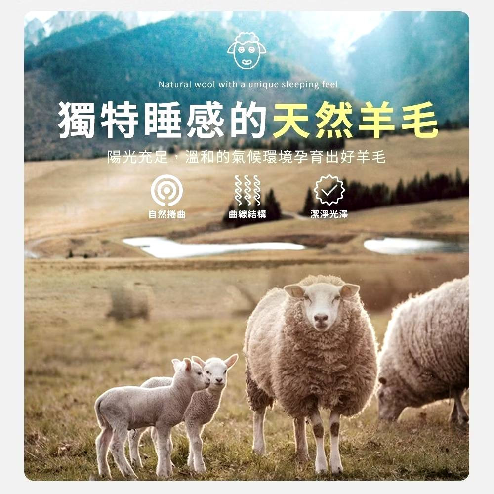 【購滿地嚴選】石墨烯羊毛被(台灣製) 6x7尺-細節圖6