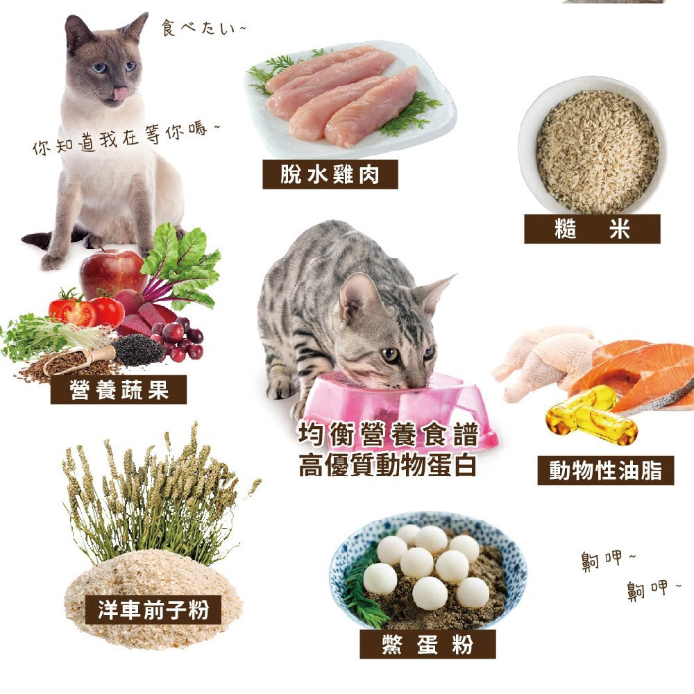 【UCAT】全齡貓 鄉村樂活(雞肉+糙米)／莓好生活(雞肉+蔓越莓) 貓糧 貓飼料 購滿地-細節圖6