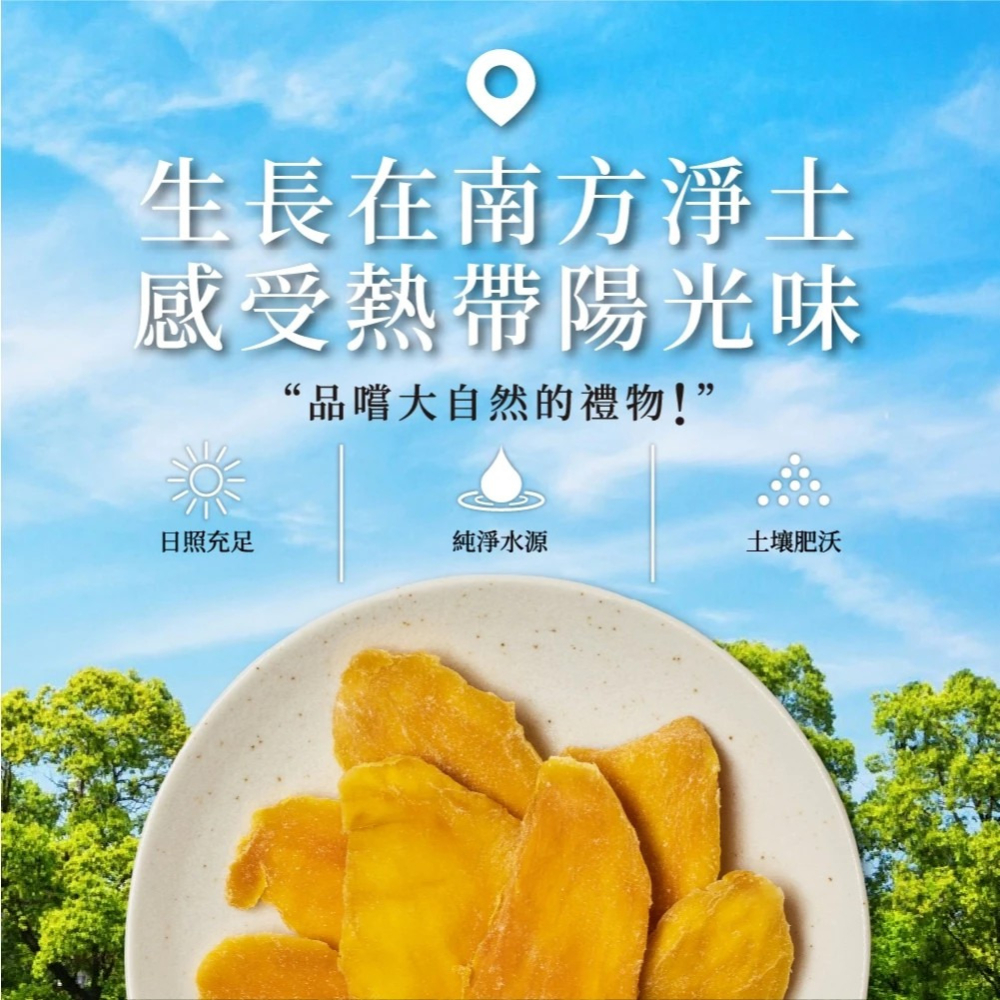 【燦哥嚴選】厚切芒果乾(50g包) 水果乾 天然果乾 購滿地-細節圖3