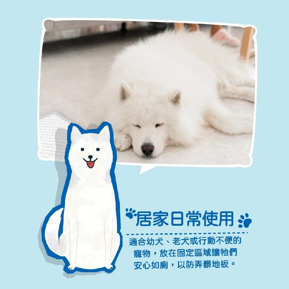 【Peepal】P寶 健康指標寵物尿墊 12片包 寵物用品 寵物廁所 尿布 購滿地-細節圖4