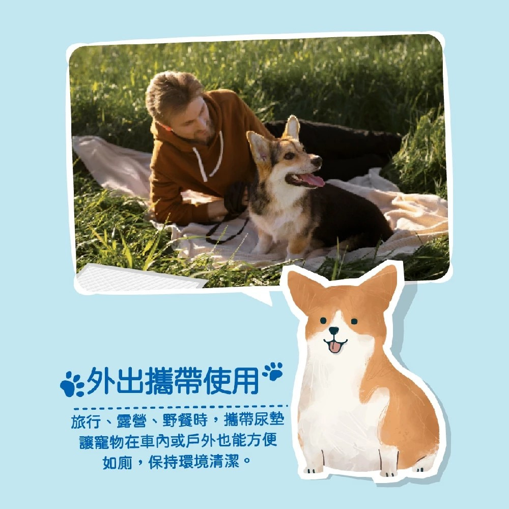 【Peepal】P寶 健康指標寵物尿墊 12片包 寵物用品 寵物廁所 尿布 購滿地-細節圖5