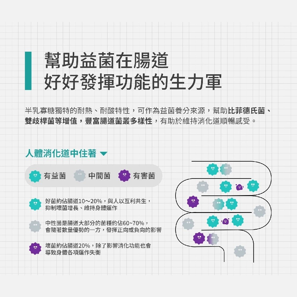 【檸檬大叔】半乳寡糖檸檬膠囊 30gx12顆/盒 檸檬飲料 無咖啡因 購滿地-細節圖6