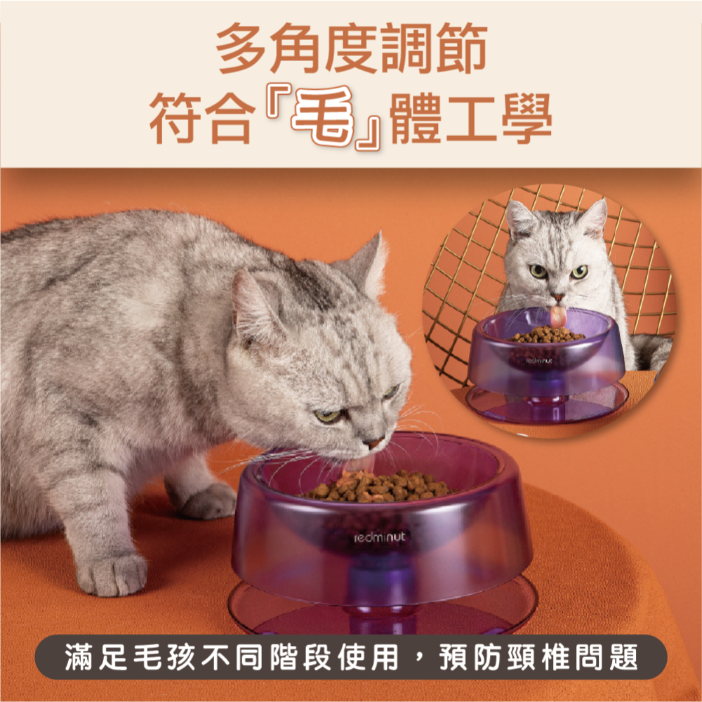 寵物碗 護頸碗 斜口碗 狗碗 貓碗 狗狗碗 貓咪碗-細節圖2