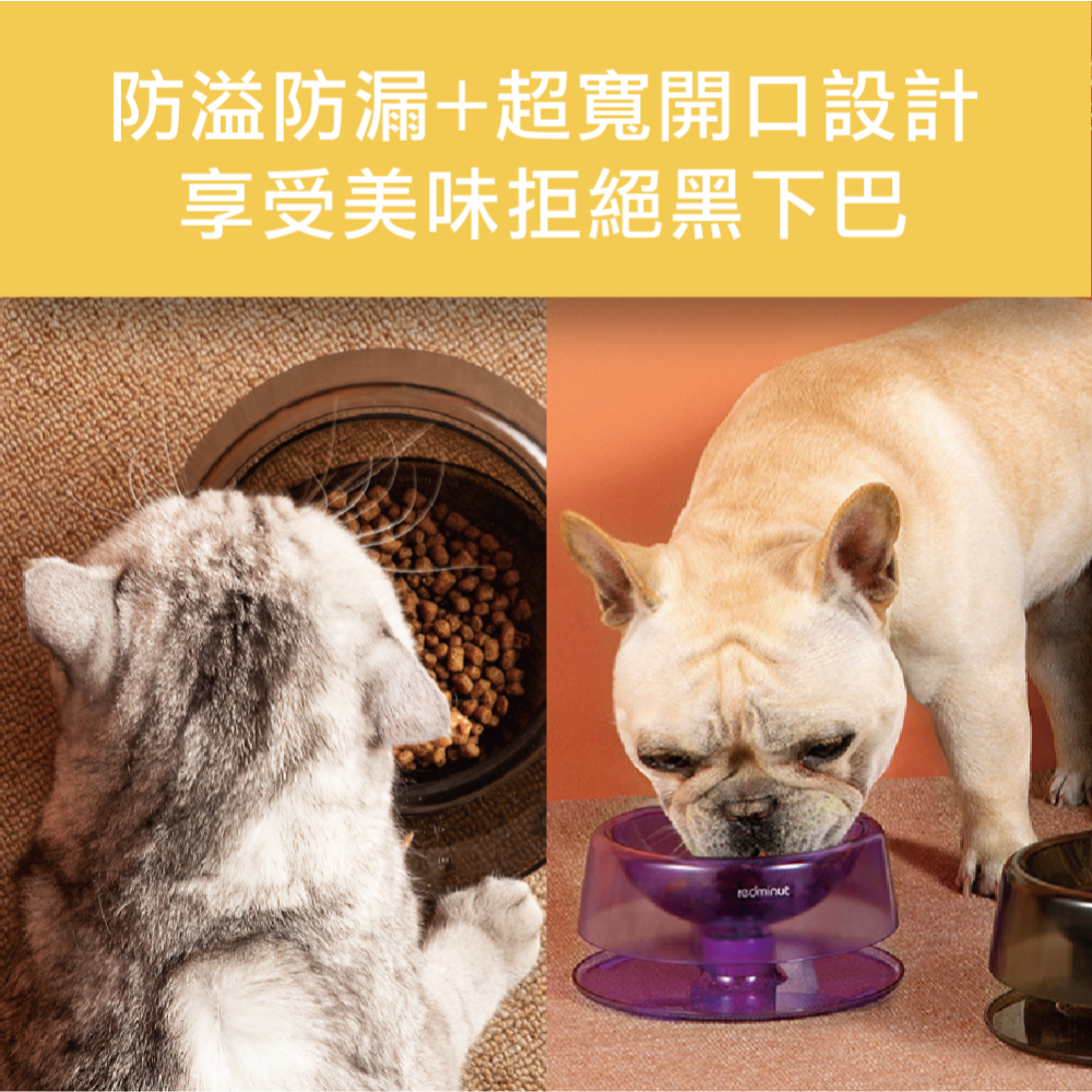 寵物碗 護頸碗 斜口碗 狗碗 貓碗 狗狗碗 貓咪碗-細節圖4