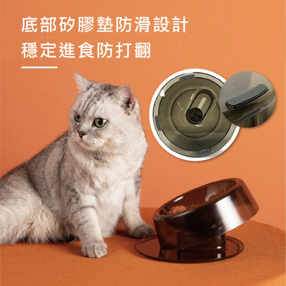 寵物碗 護頸碗 斜口碗 狗碗 貓碗 狗狗碗 貓咪碗-細節圖6