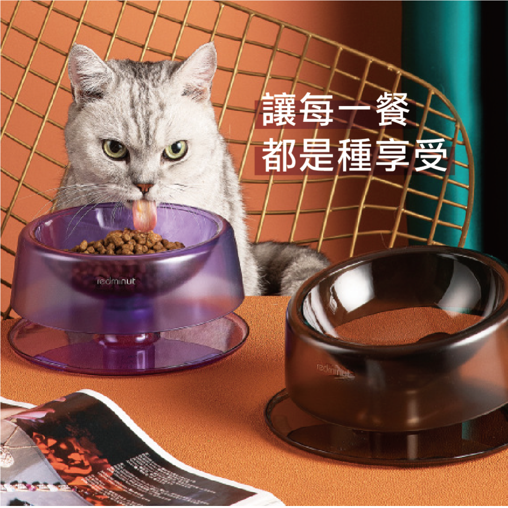 寵物碗 護頸碗 斜口碗 狗碗 貓碗 狗狗碗 貓咪碗-細節圖9