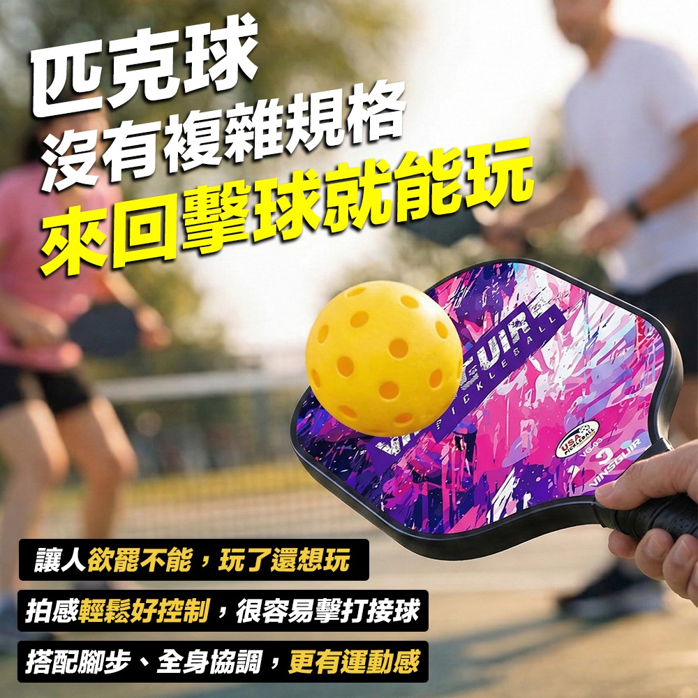 匹克球拍 【2拍+4球+收納包】 匹克球拍組 匹克球 玻璃纖維球拍 pickleball-細節圖2