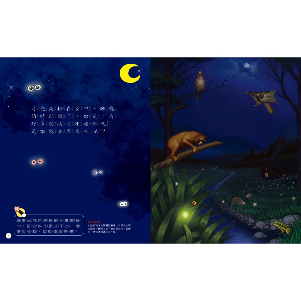 ✨現貨✨《康軒圖書》小偵探大追擊：找一找動物的家⭐️童書團購批發⭐️-細節圖4