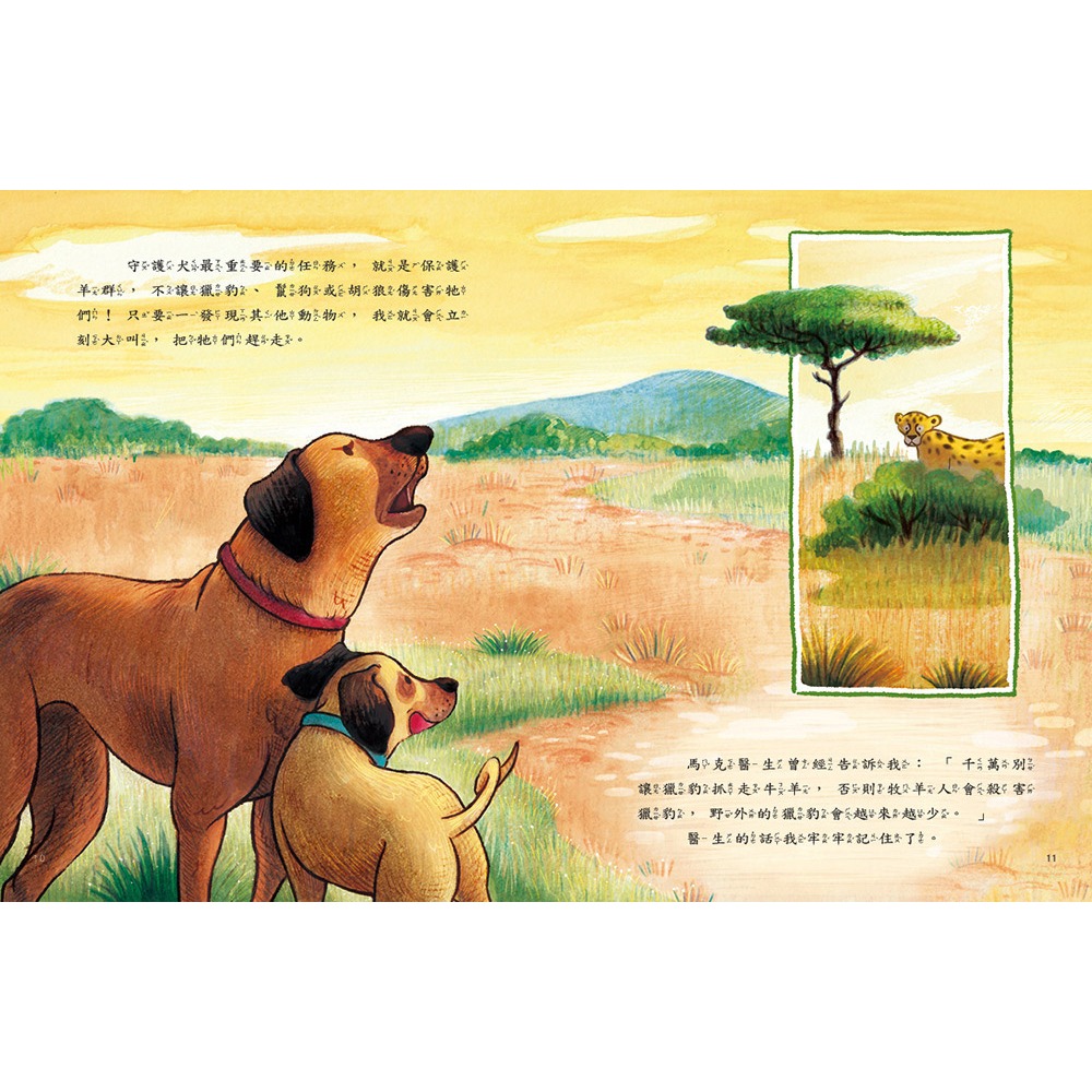 ✨現貨✨《康軒圖書》愛的故事‧知識繪本2：讓我們守護你⭐️童書團購批發⭐️-細節圖5