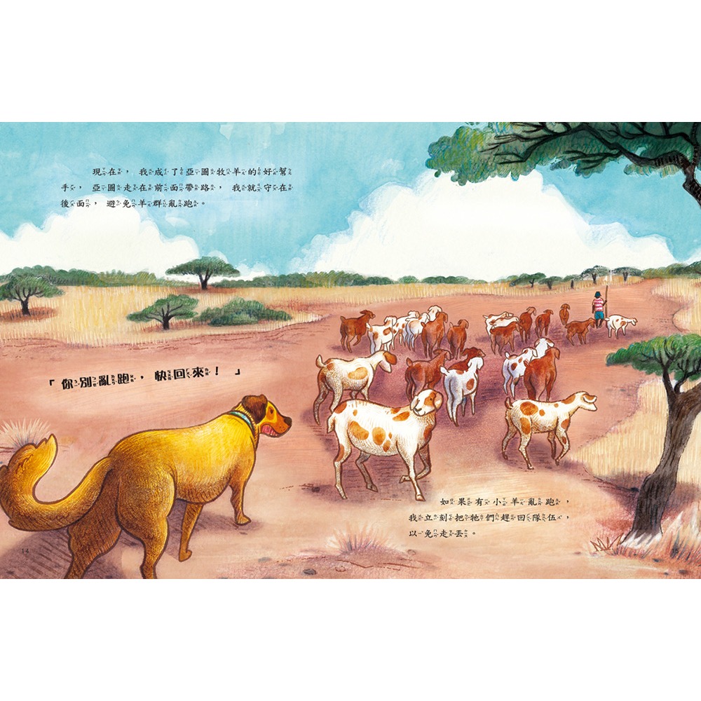 ✨現貨✨《康軒圖書》愛的故事‧知識繪本2：讓我們守護你⭐️童書團購批發⭐️-細節圖6